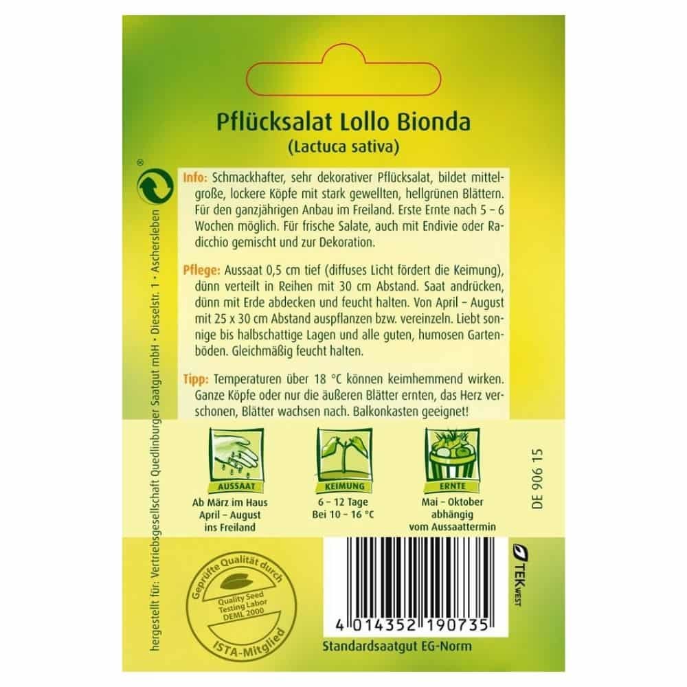 Pluksalat, Lollo bionda-0