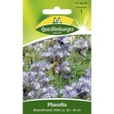 Phacelia, Bivenven