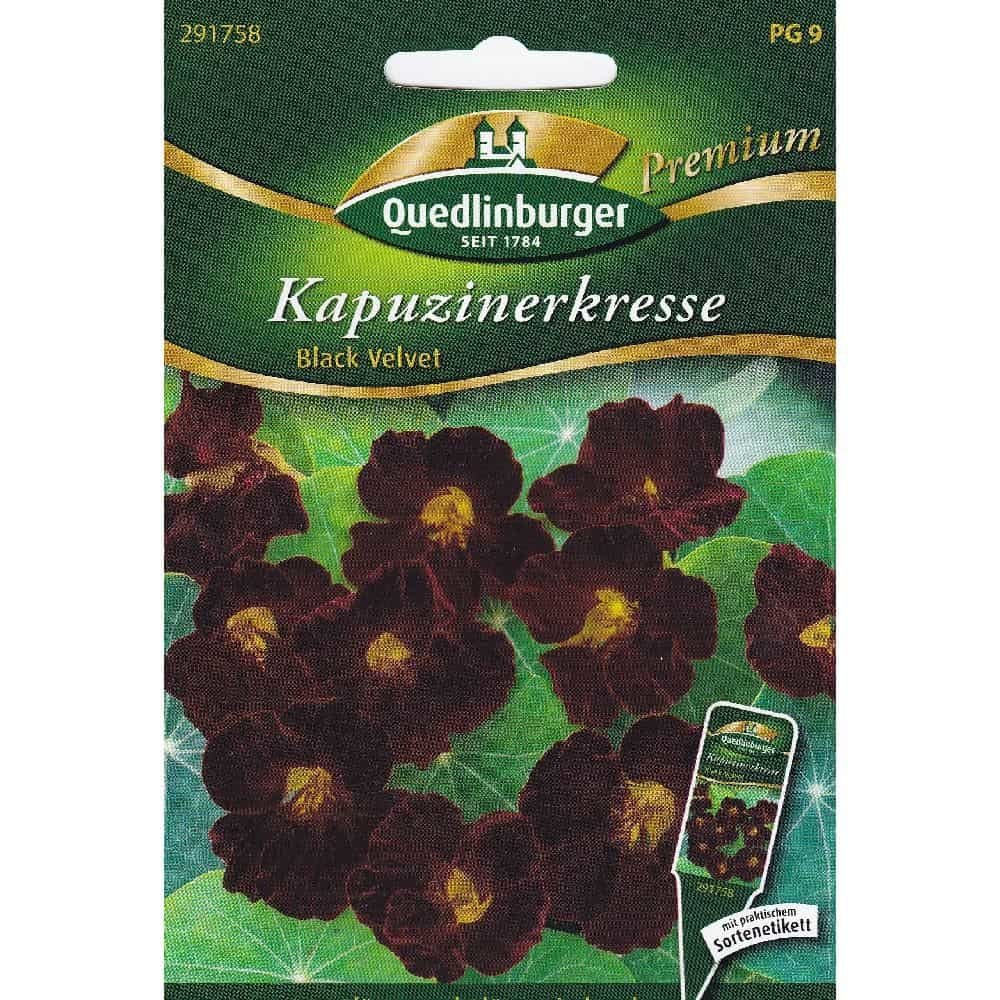 Blomsterkarse, Black Velvet