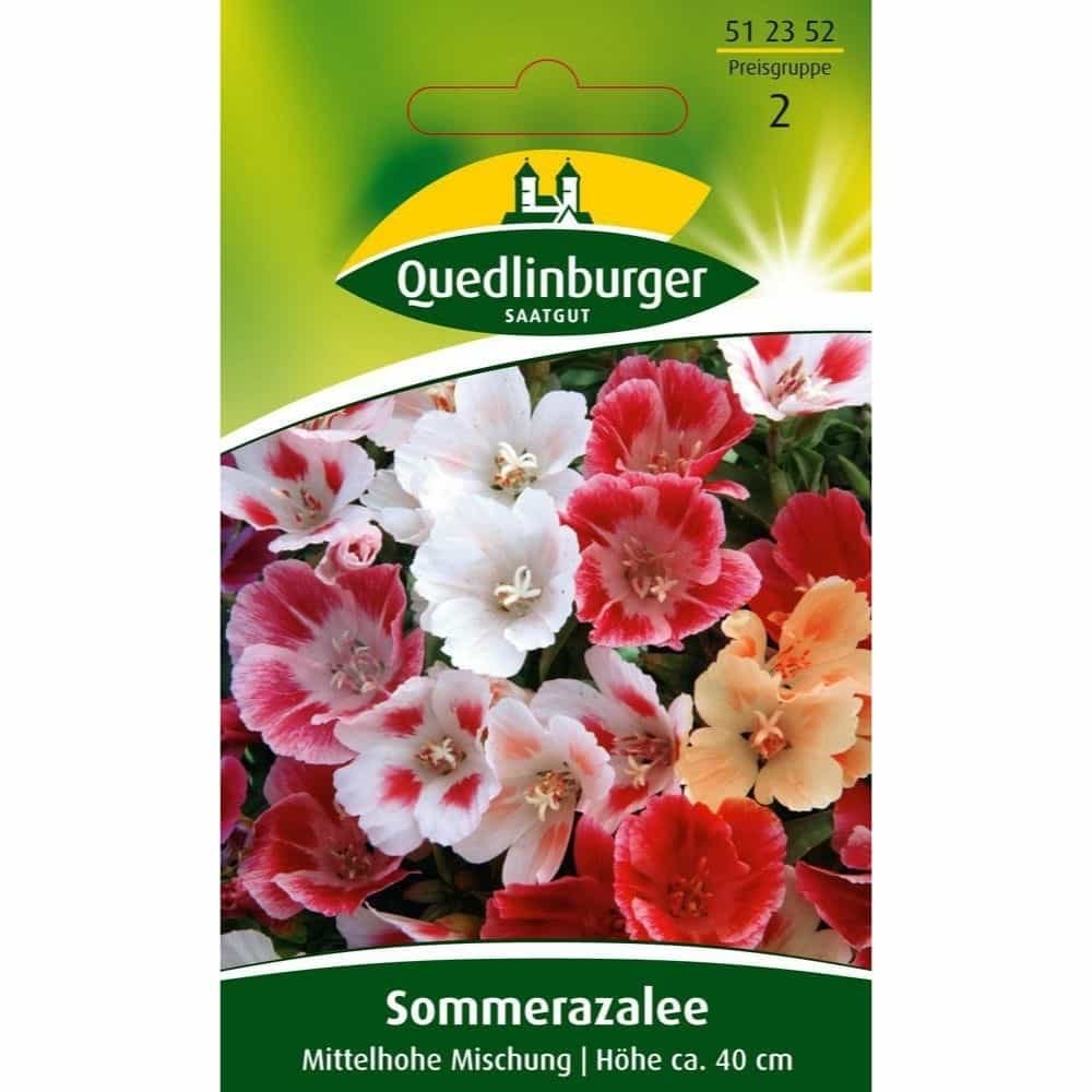 Sommerazalea, Mellemhøj blanding