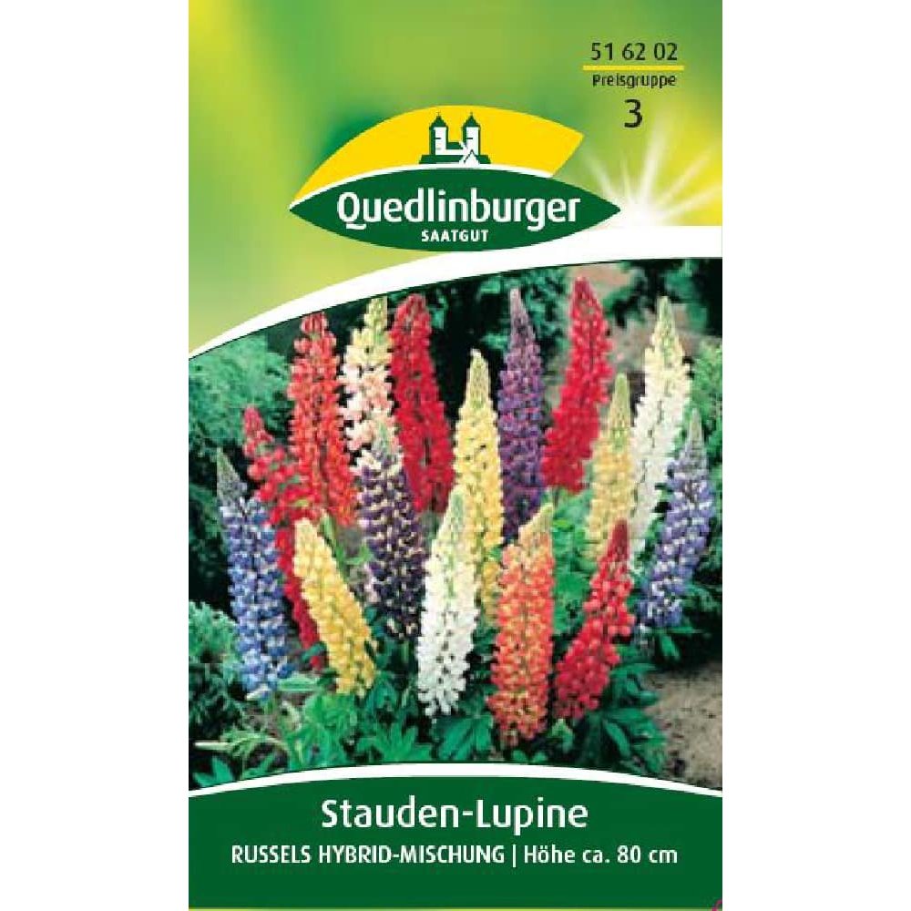 Staude-Lupin, Russels Hybrid-blanding