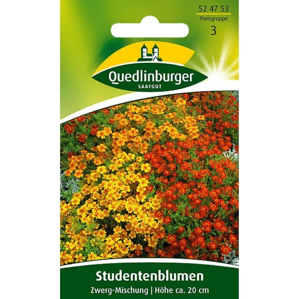 Studentensblomst, dværg-blanding