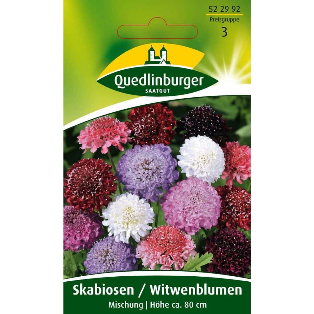 Skabiose, Enkeblomst