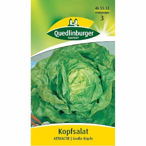 [BONI-465512] Hovedsalat, Attractie