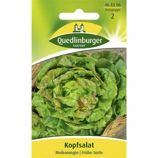 [BONI-468306] Hovedsalat, Maikönig