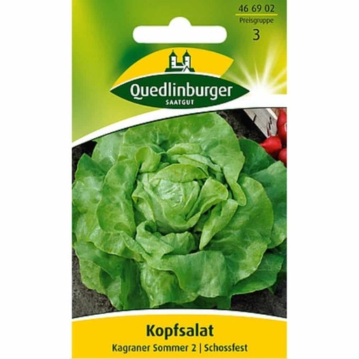 [BONI-466902] Hovedsalat, Kagraner Sommer 2